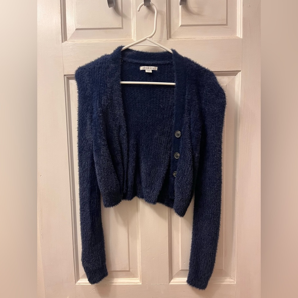 Blue fuzzy cropped American Eagle sweater